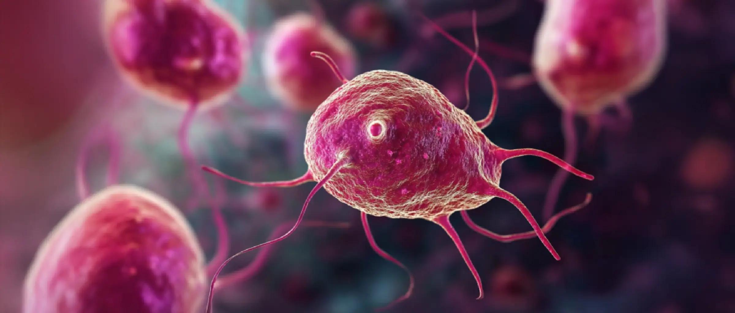 WhatIsTrichomoniasis