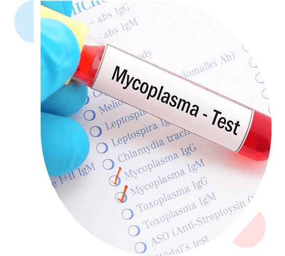 HowTreatedMycoplasma